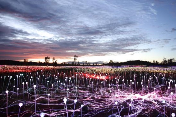 Field of Light Uluru The Luxury Travel Bible (7)